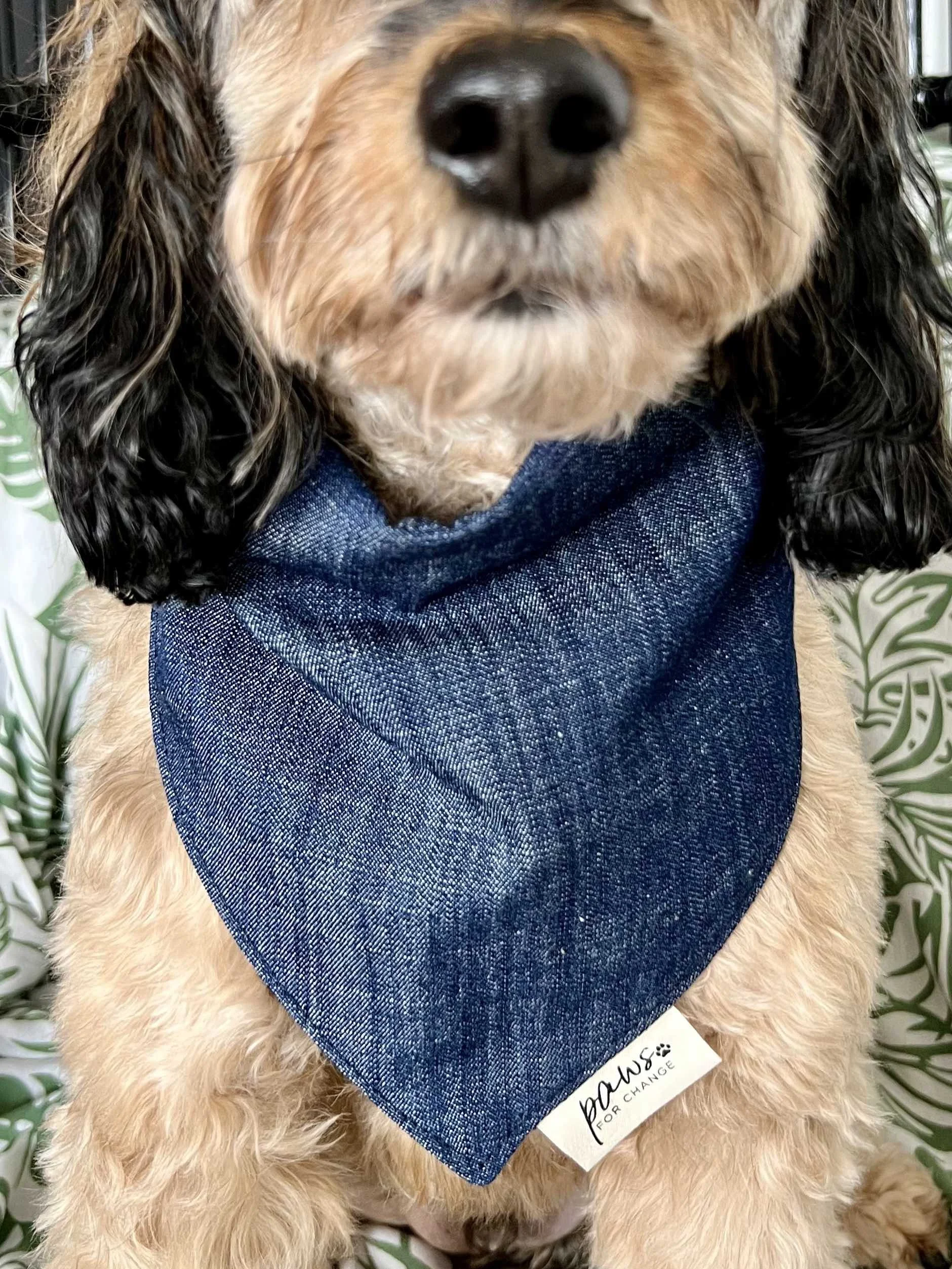 Denim dog bandana deals